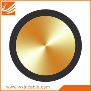 300/500V Single-core Non-sheathed Flexible Cable